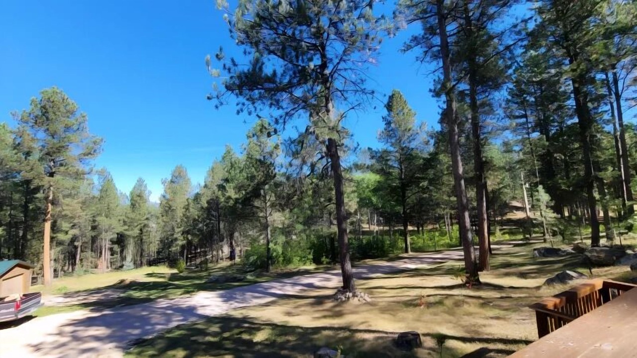 Photo of Others in Custer