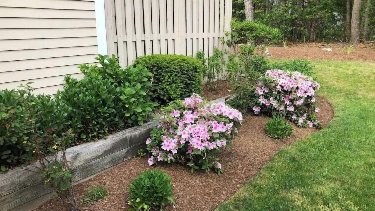 Photo of Outdoor in Brewster