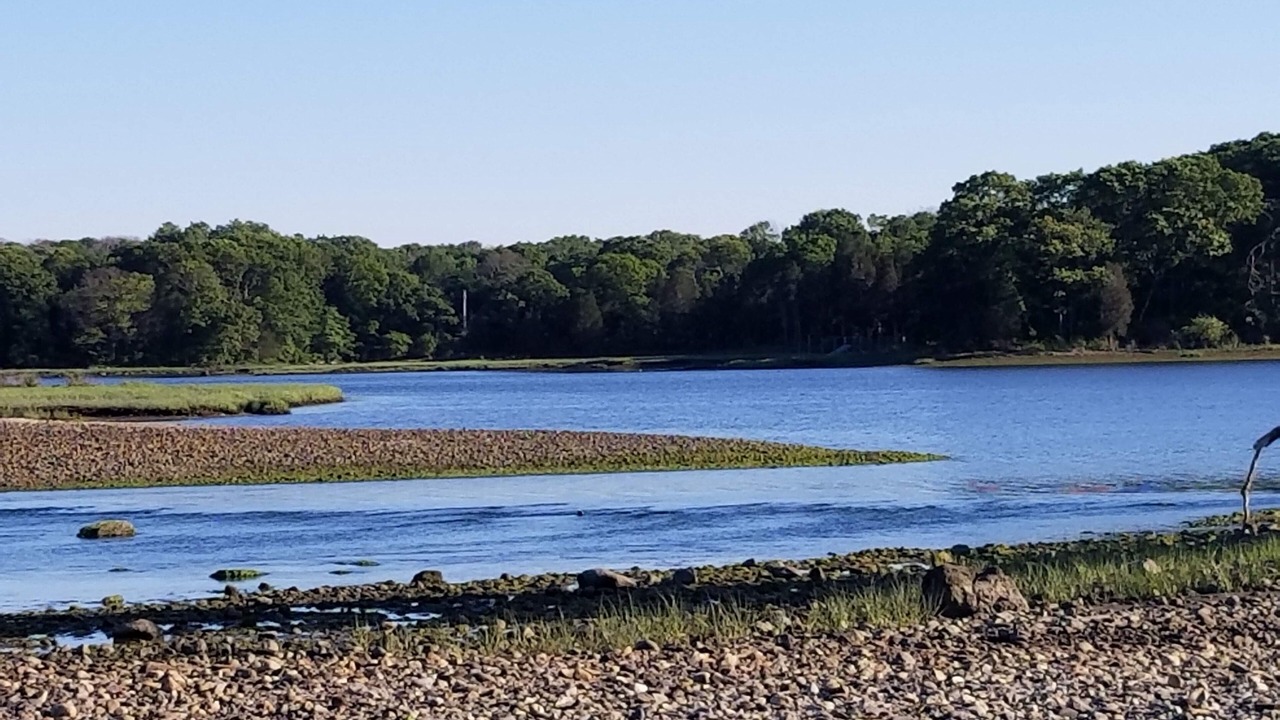Photo of Others in North Kingstown