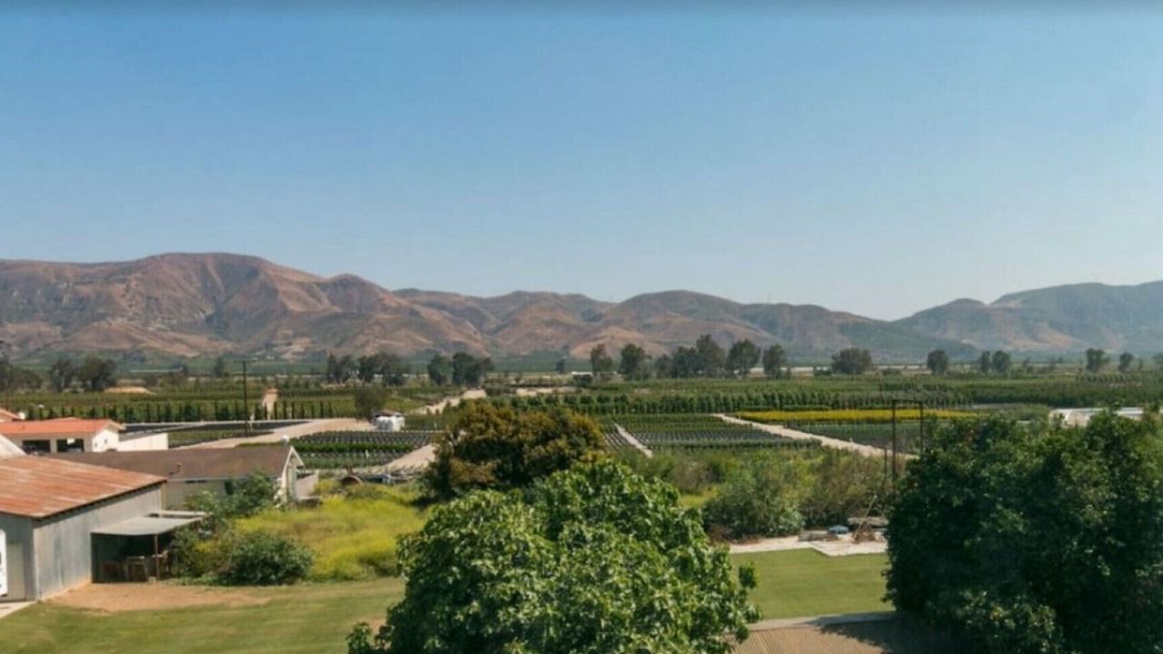 Photo of Others in Fillmore