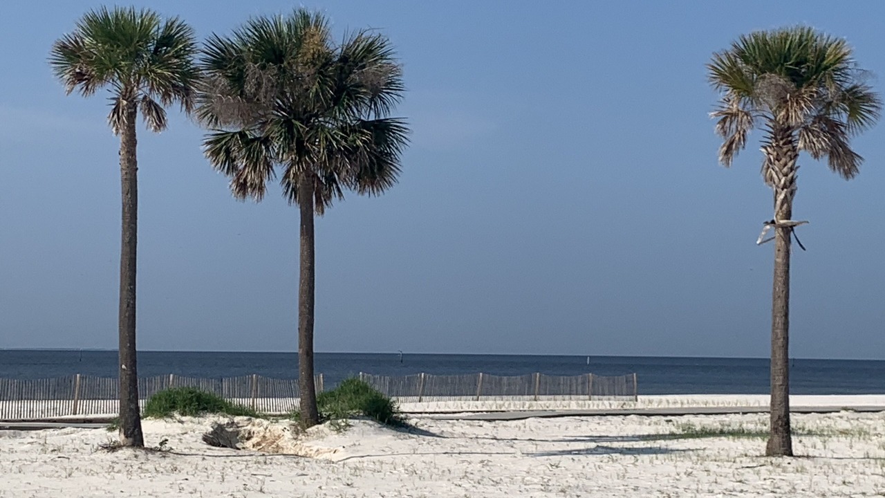 Photo of Others in Gulfport