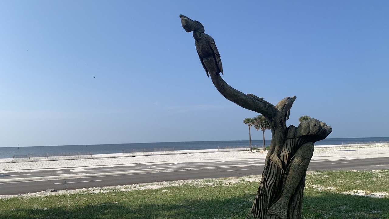 Photo of Others in Gulfport