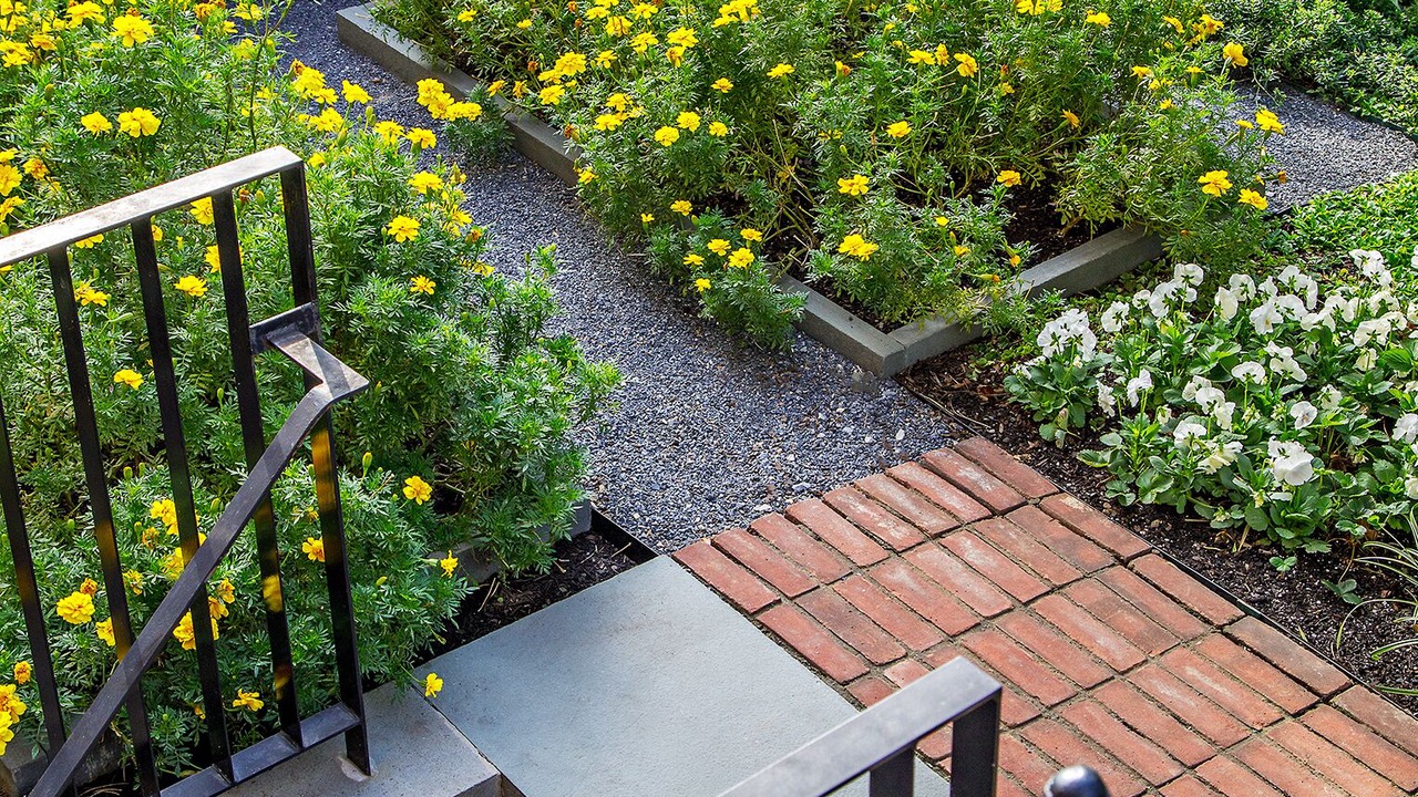 Photo of Outdoor in Capitol Hill
