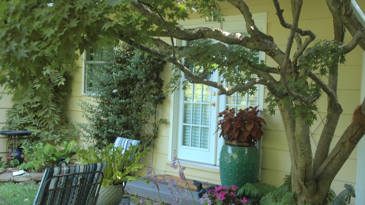 Photo of Outdoor in Middleburg