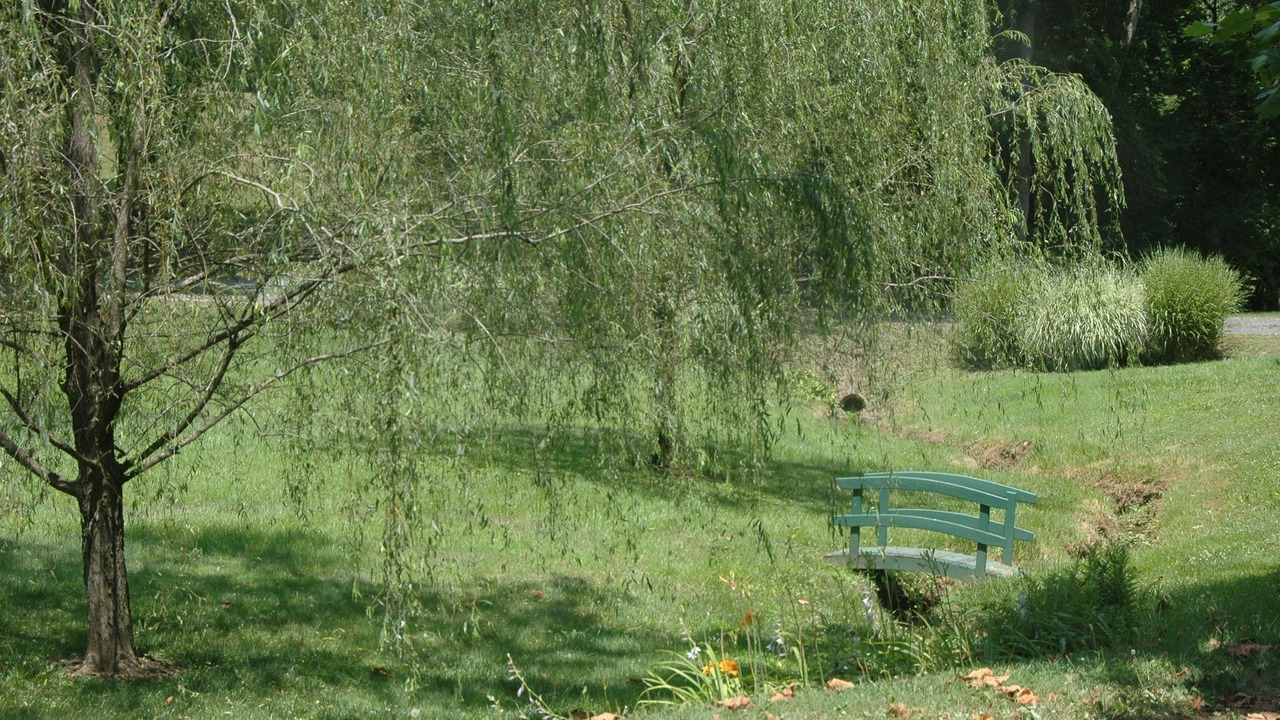 Photo of Others in Middleburg