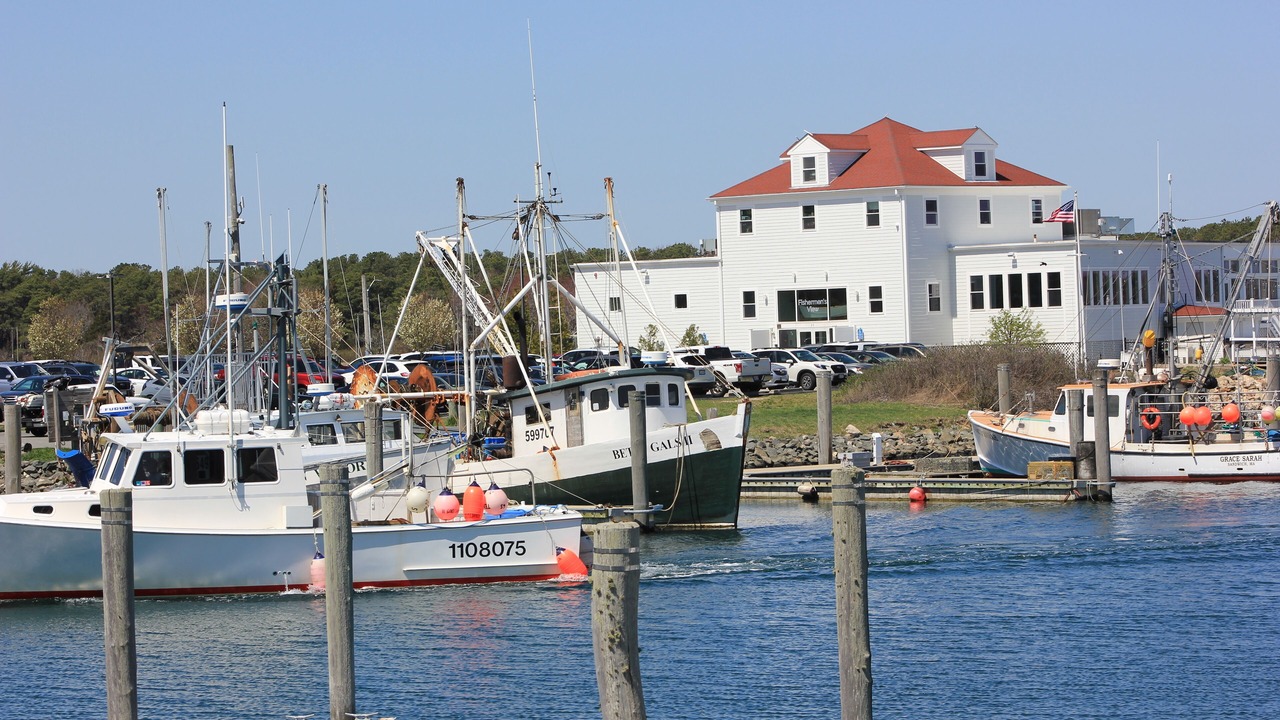 Photo of Others in Sandwich