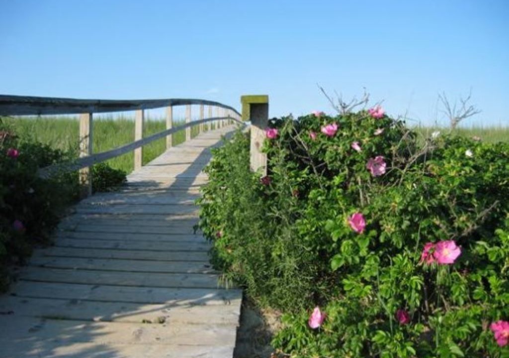 Photo of Outdoor in Sandwich