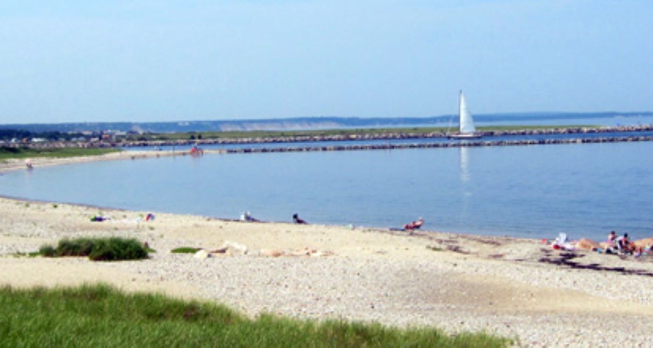 Photo of Others in Sandwich