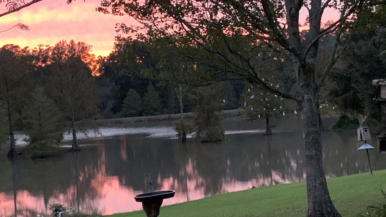 Photo of Outdoor in Carencro