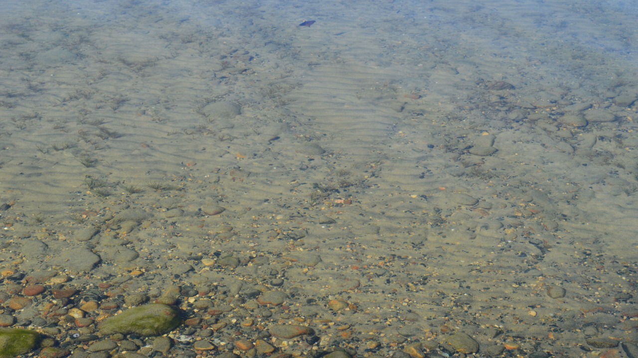 Photo of Others in Rochert
