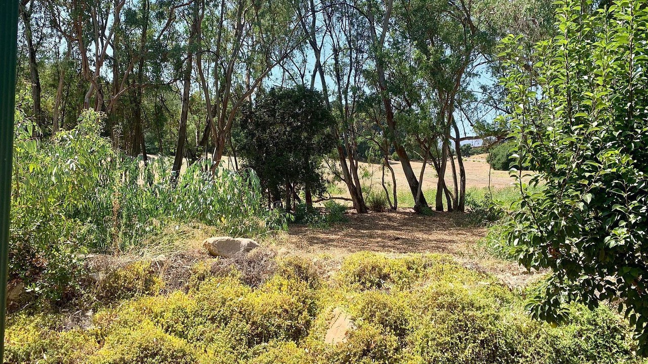 Photo of Outdoor in Meiners Oaks
