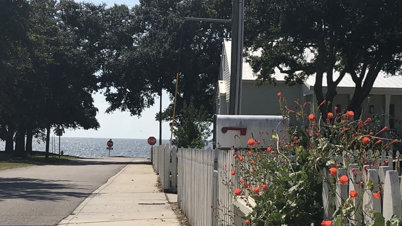 Photo of Outdoor in Pass Christian