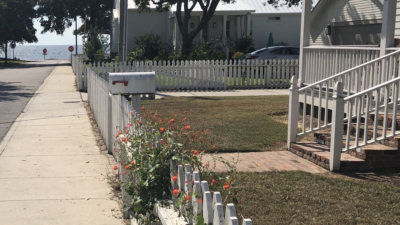 Photo of Outdoor in Pass Christian