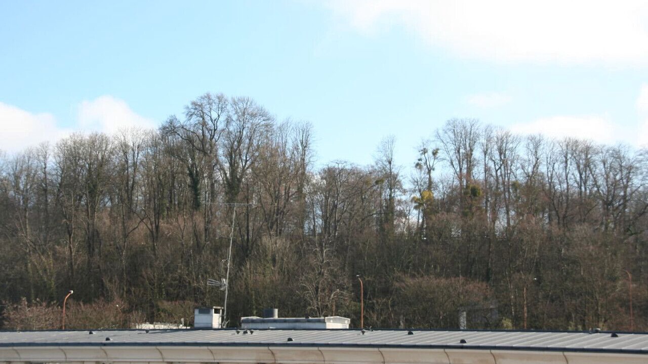 Photo of Others in Sevres