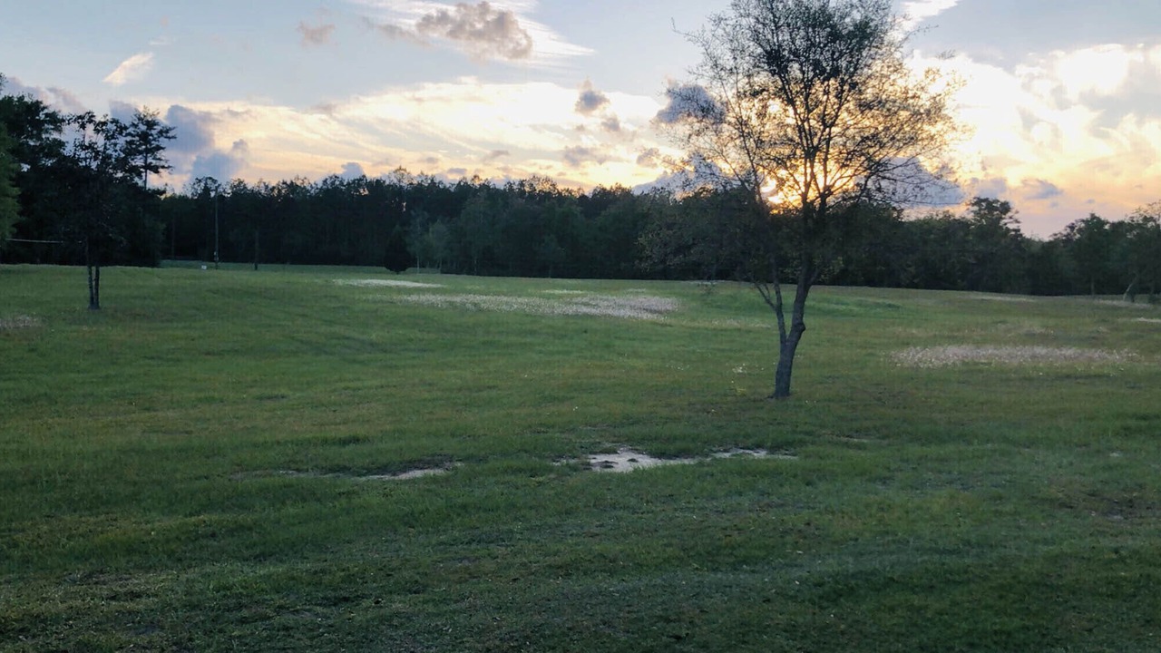 Photo of Others in Perkinston