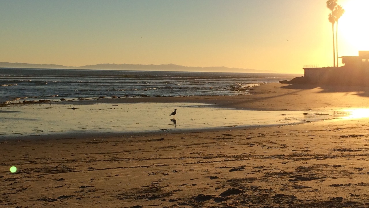Photo of Others in Ventura