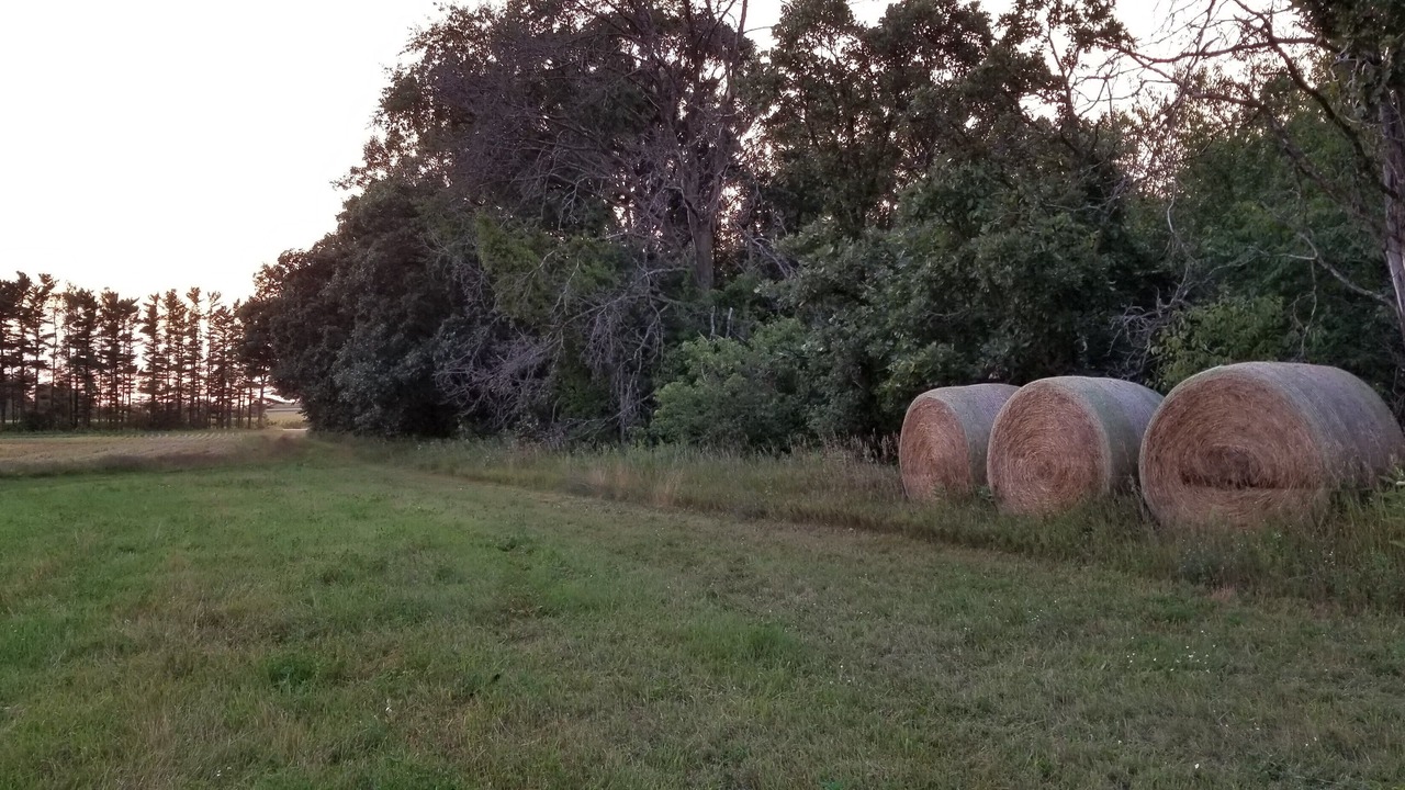 Photo of Others in Adams County