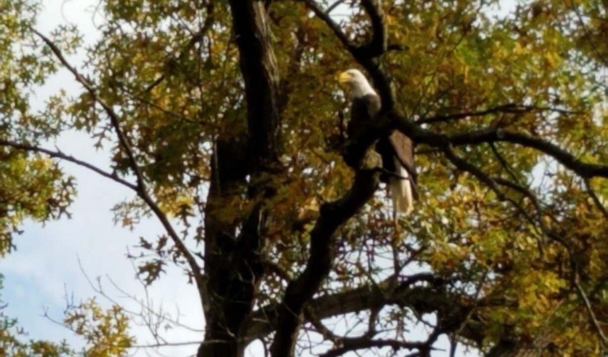 Photo of Others in Adams County
