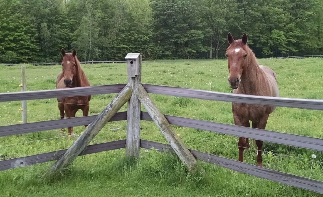 Photo of Outdoor in Williamstown