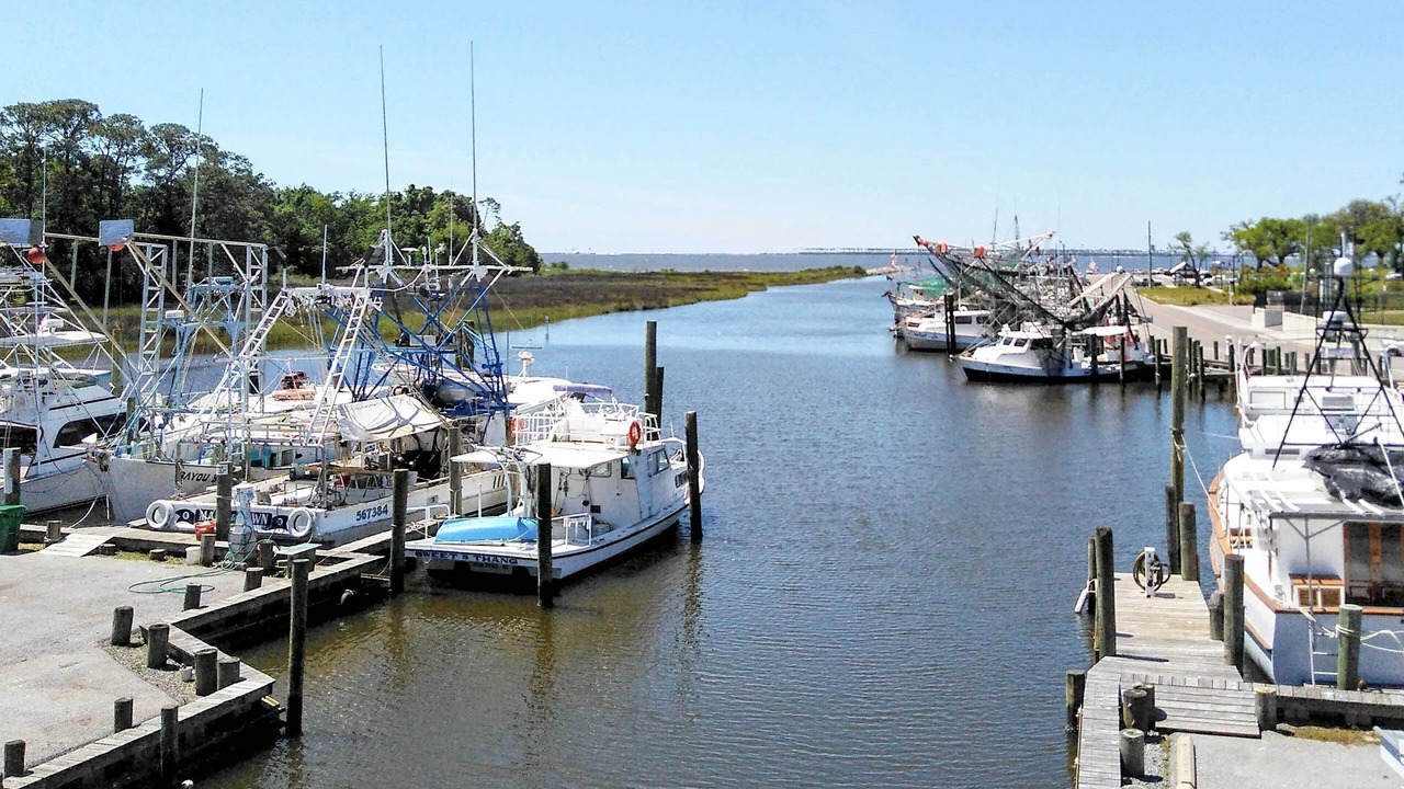 Photo of Others in Biloxi