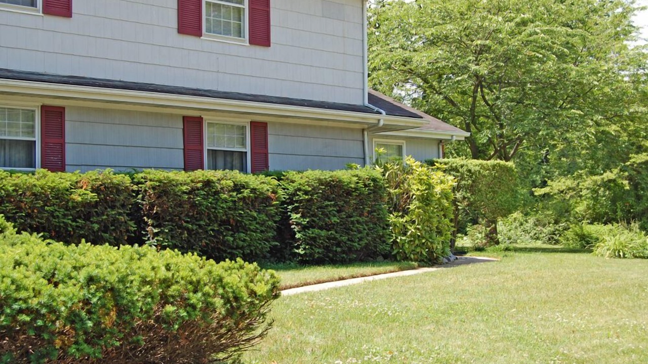 Photo of Outdoor in Annapolis