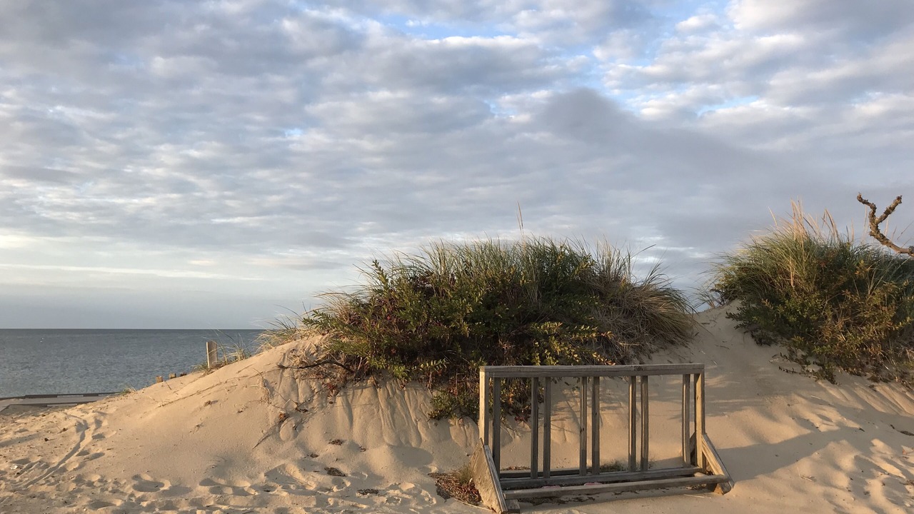 Photo of Others in Brewster