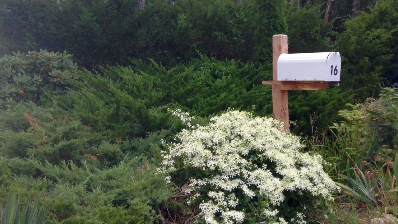 Photo of Outdoor in Brewster