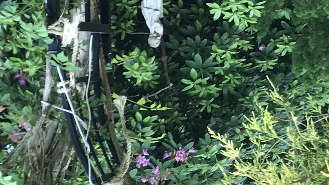 Photo of Outdoor in Brewster