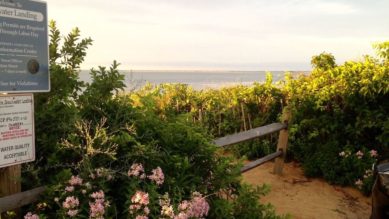 Photo of Outdoor in Brewster