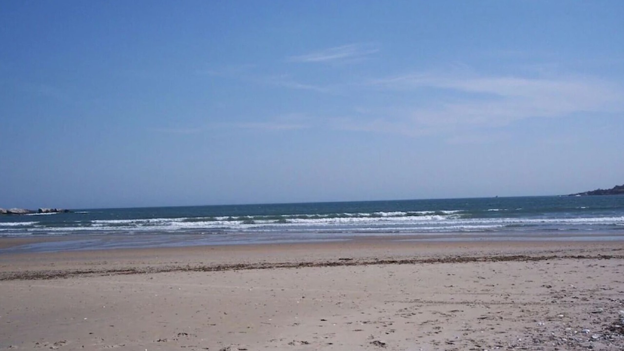 Photo of Others in Bonnet Shores