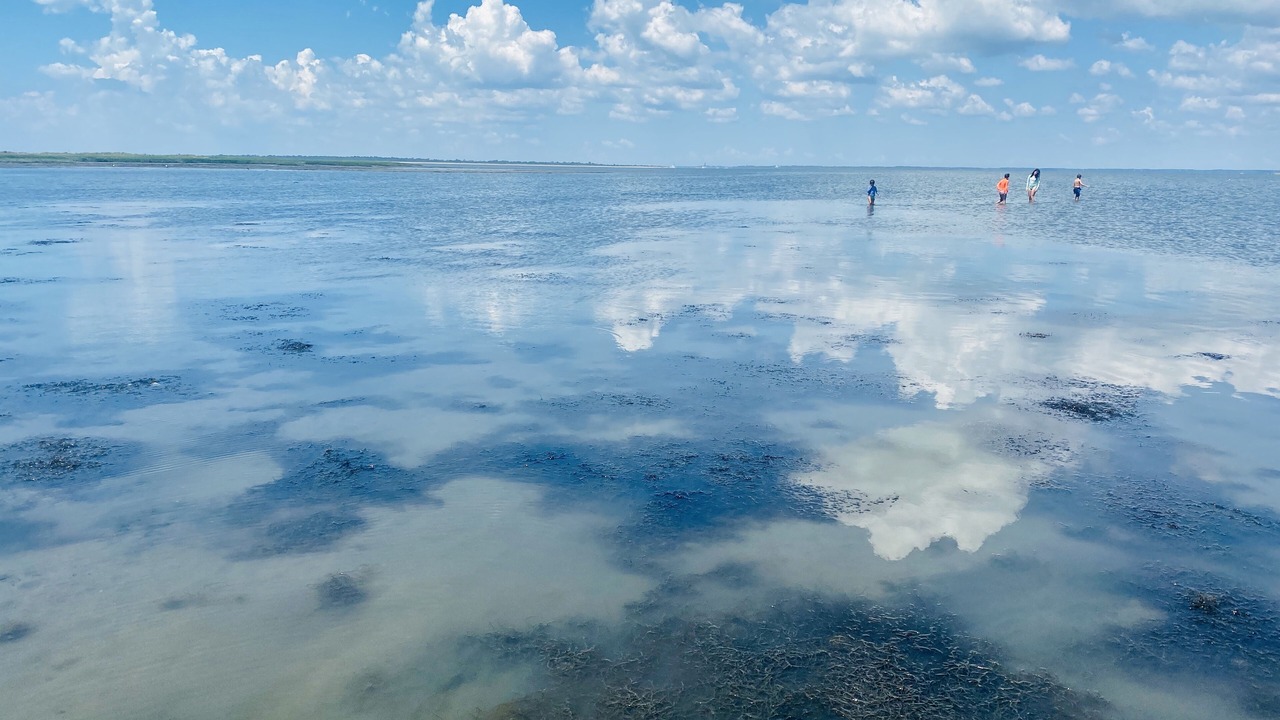 Photo of Outdoor in Chincoteague