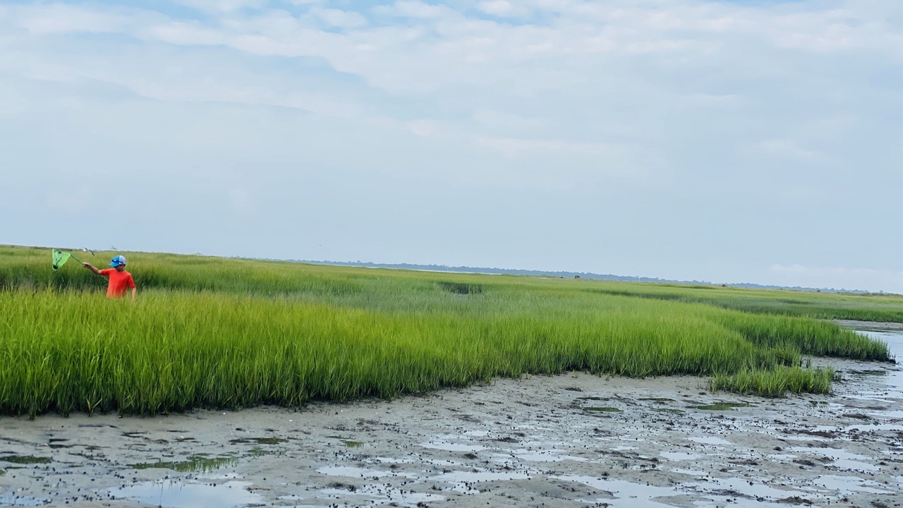Photo of Others in Chincoteague