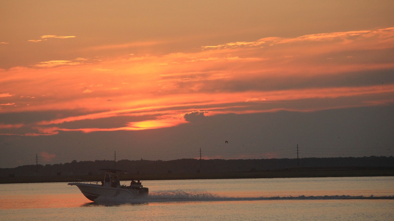 Photo of Others in Chincoteague