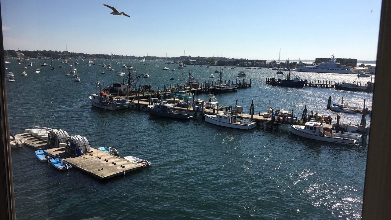 Photo of Others in Yachting Village