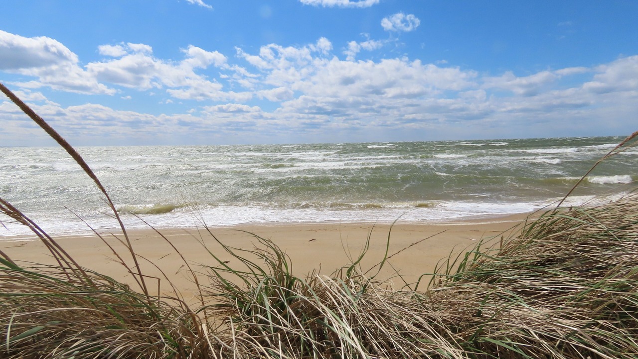 Photo of Others in Eastham