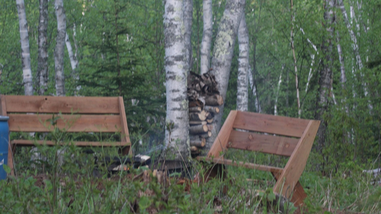 Photo of Others in Grand Marais