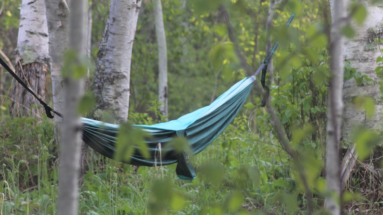 Photo of Others in Grand Marais