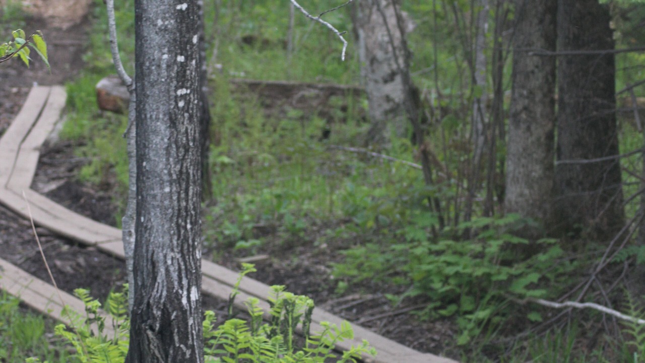 Photo of Others in Grand Marais