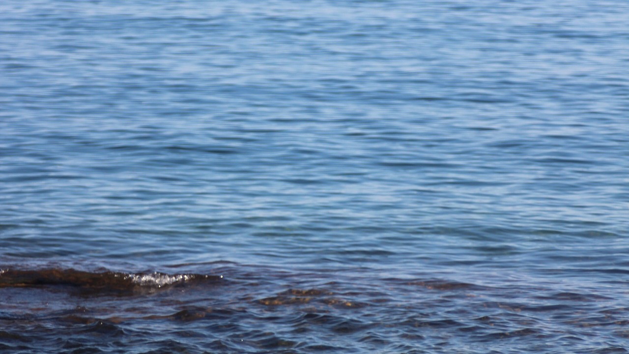 Photo of Outdoor in Grand Marais