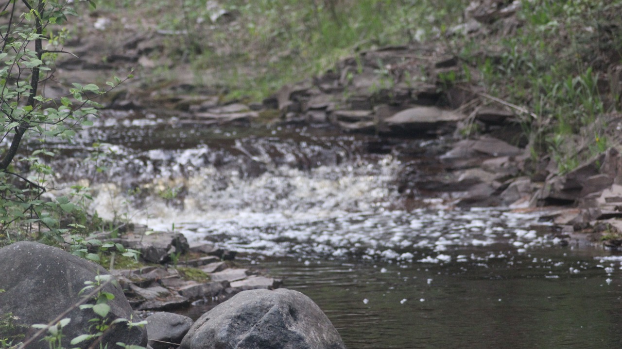 Photo of Others in Grand Marais