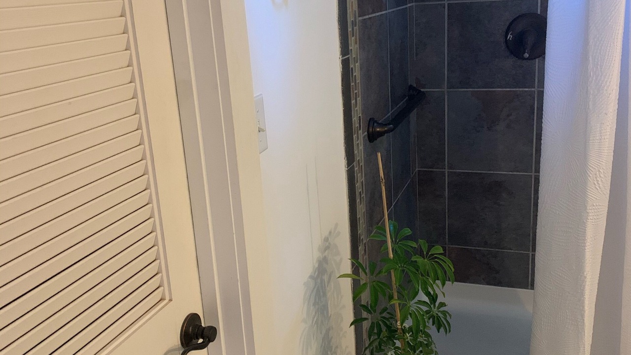 Photo of Bathroom in Orleans