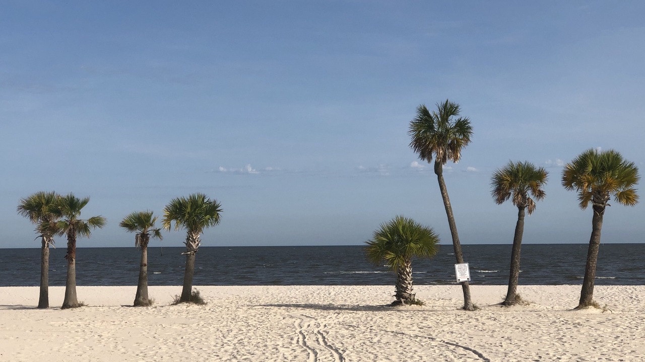 Photo of Others in Biloxi
