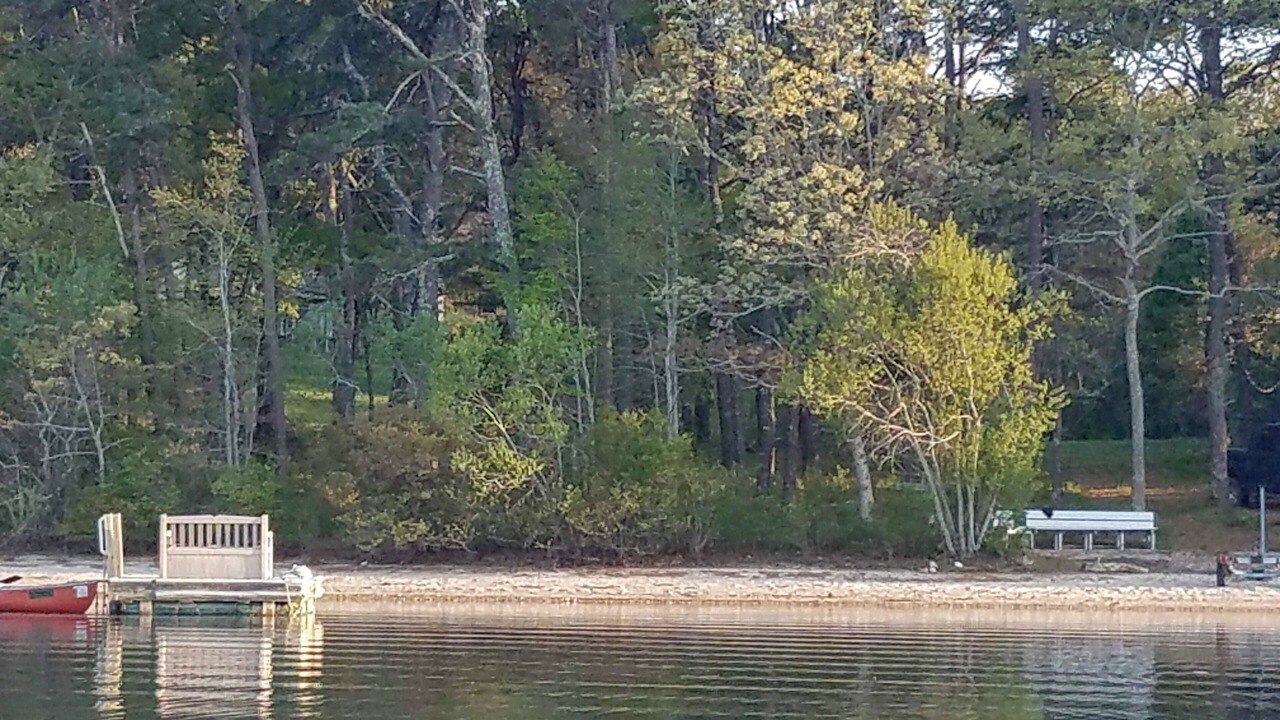 Photo of Others in Sandwich