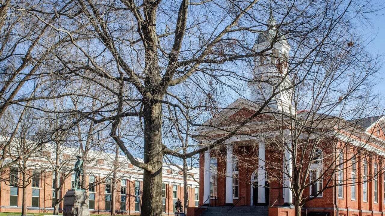 Photo of Others in Leesburg's Old and Historic District