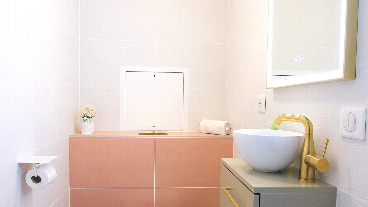 Photo of Bathroom in Serris