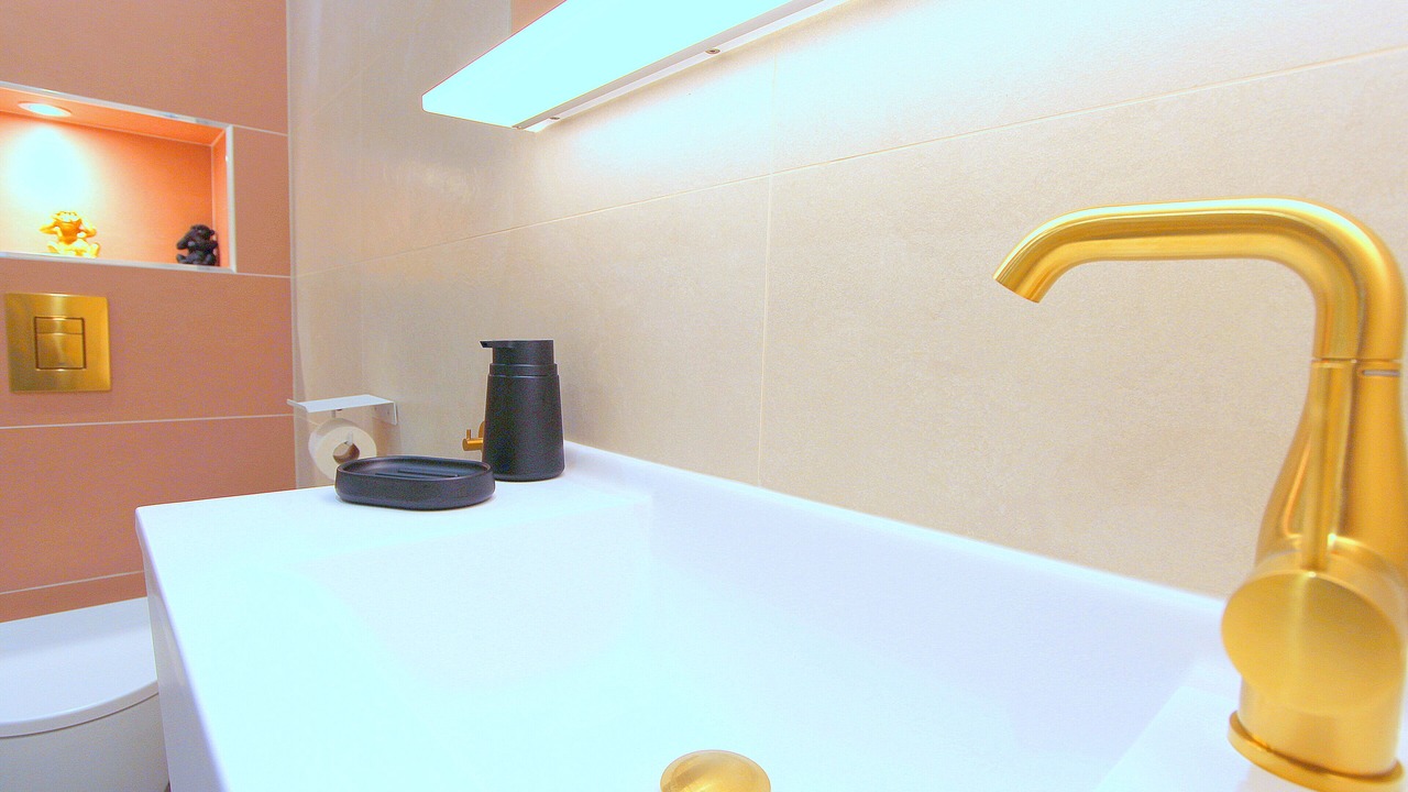 Photo of Bathroom in Serris