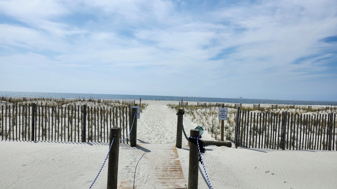 Photo of Others in Dauphin Island