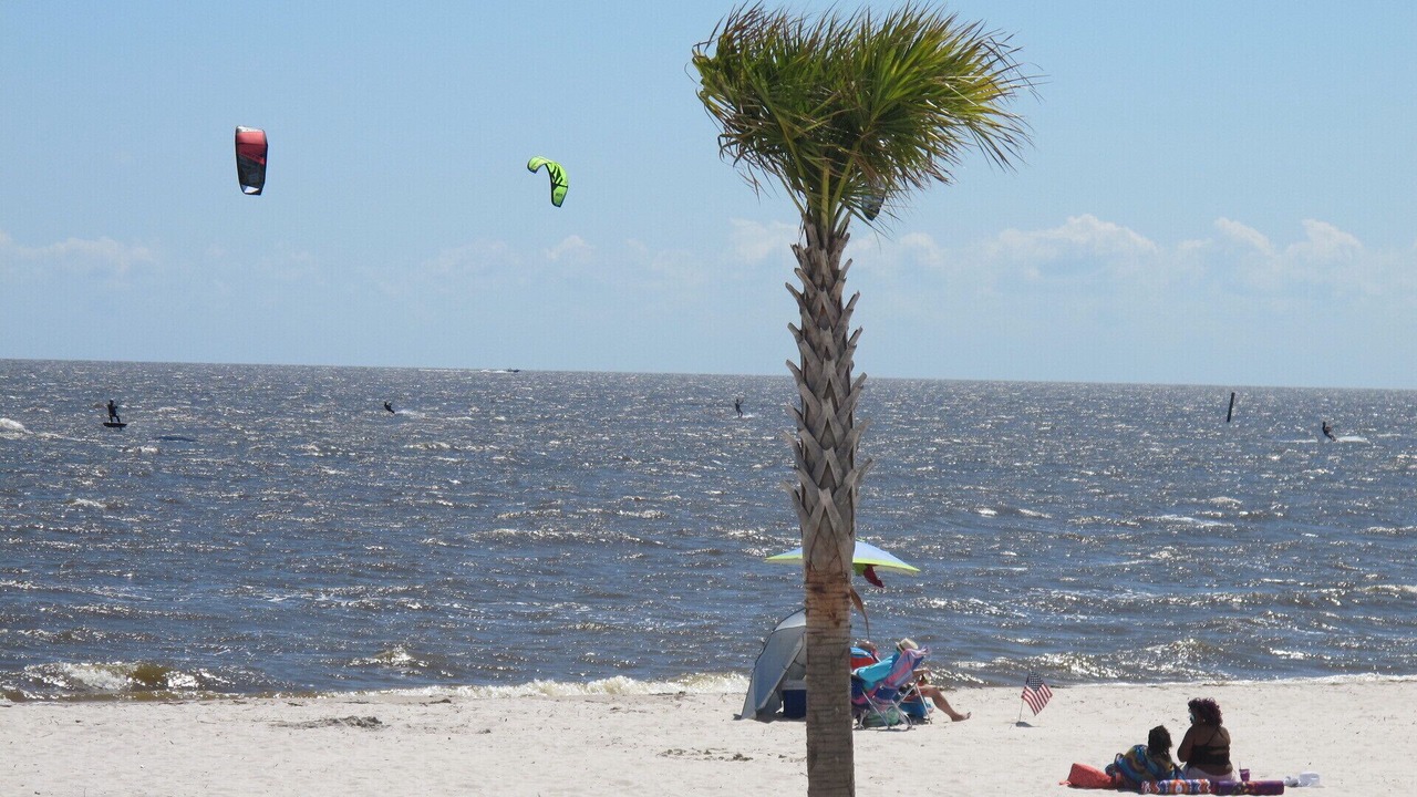 Photo of Others in Henderson Point