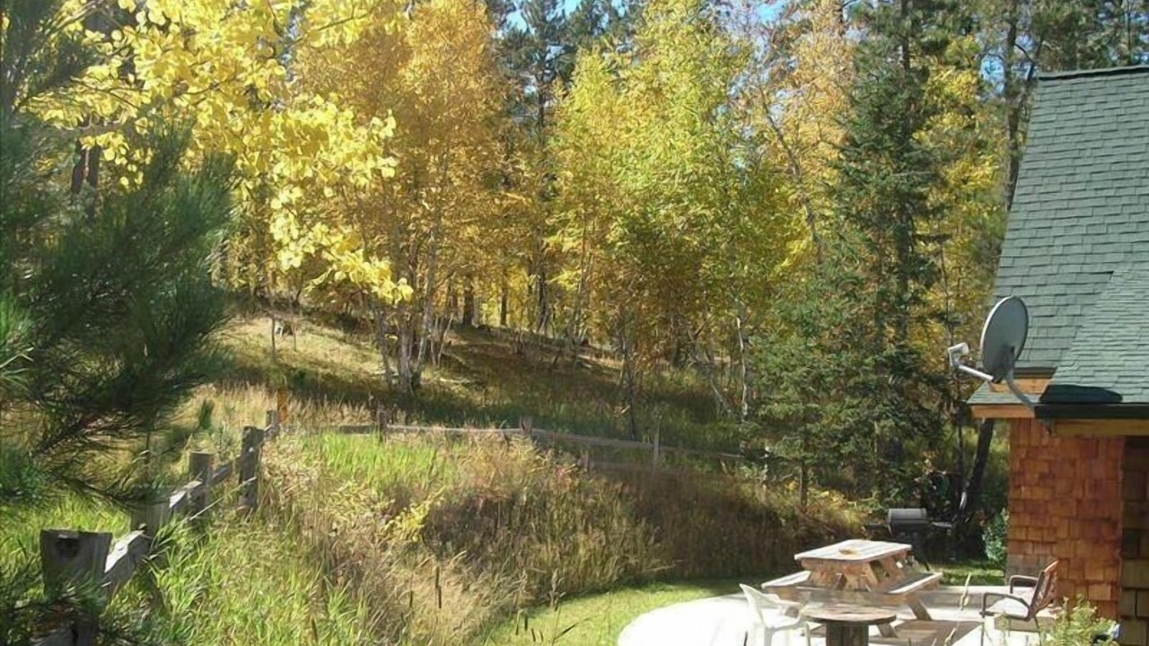 Photo of Others in Nemo