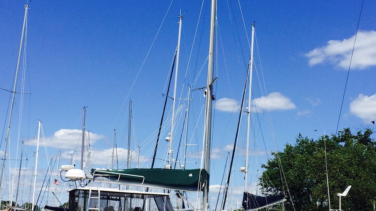 Photo of Others in Annapolis